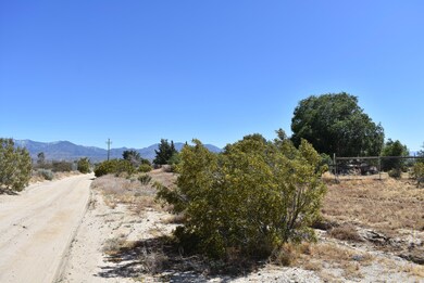 36261 166th St E, Palmdale, CA 93591 - photo 3