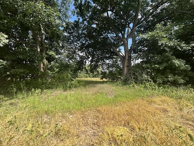 0 V/L Michigan 66, Athens, MI 49011 - photo 2