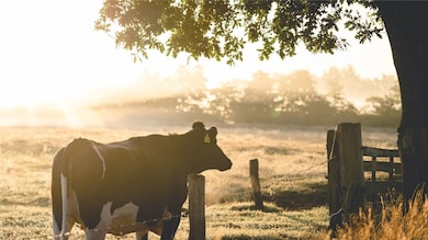 6477 Garhole View Ln, Bryan, TX 77808 - photo 2