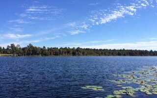 852 NW Scenic Lake Dr, Lake City, FL 32055 - photo 2