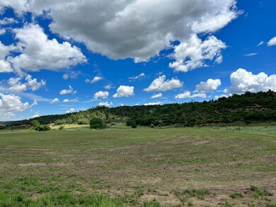 IMG_0028