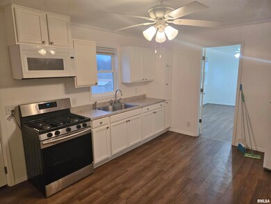 3221 66th Ave, Moline, IL 61265 - photo 5