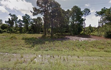 915 Naples Ave S, Lehigh Acres, FL 33974 - photo 5