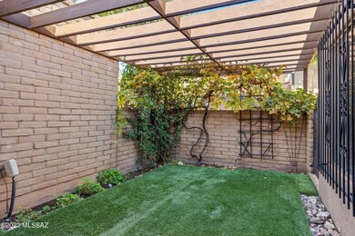 25-Backyard