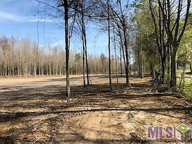 1711 Midway Rd, Slaughter, LA 70777 - photo 2