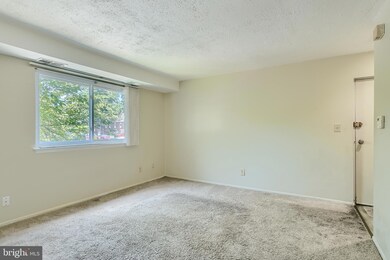 12001 Tarragon Rd unit H, Reisterstown, MD 21136 - photo 4