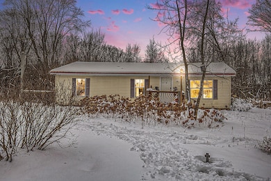 4010 S Brown Rd, Sidney, MI 48885 - photo 3