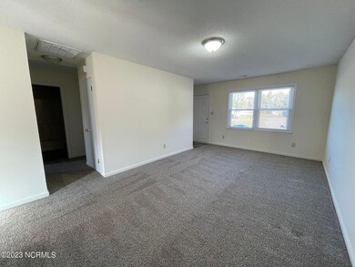 201 Appaloosa Dr, Jacksonville, NC 28540 - photo 3