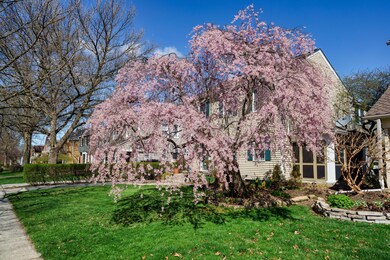 426 Arden Rd_MLS_03