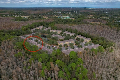 8145 Stone Leaf Ln, Tampa, FL 33647 - photo 7