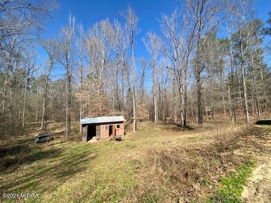 159 Forest Valley Dr, Gordon, GA 31031 - photo 3