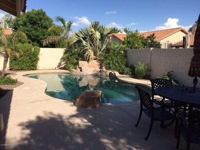Back Yard Oasis