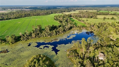 0 Rhonda Coleman Rd, Hazlehurst, GA 31539 - photo 2
