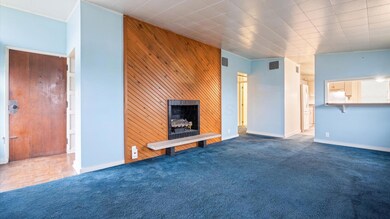 Living Room & Fireplace