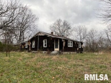 703 Buchanan Rd, Iuka, IL 62849 - photo 4
