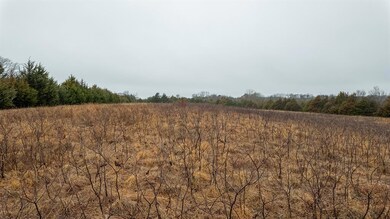 View of local wilderness