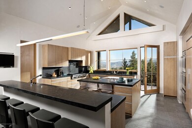 991 Moore Dr, Aspen, CO 81611 - photo 6