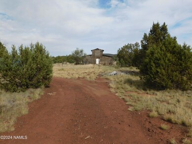 817 W Highland St, Ash Fork, AZ 86320 - photo 6
