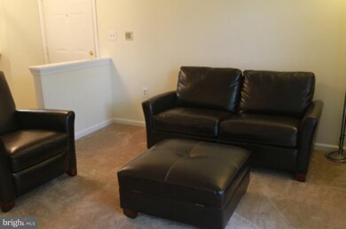 4409 Silverbrook Ln unit I203, Owings Mills, MD 21117 - photo 4