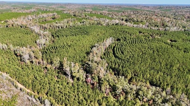 00 Highway 82, Eufaula, AL 36027 - photo 7