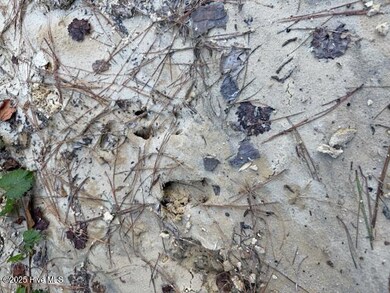 0 Knight Way SE unit 100542829, Winnabow, NC 28479 - photo 4