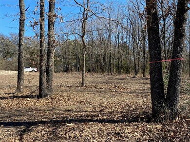 L 339 Deep Water Cove, Corsicana, TX 75109 - photo 6