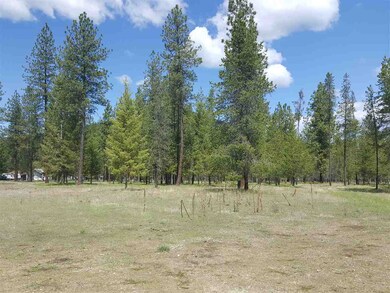 2600 Blk Hogan's Way, Chewelah, WA 99109 - photo 5