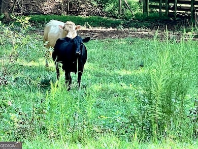 6223 Hulsey Rd, Clermont, GA 30527 - photo 5