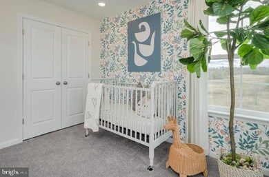 19128 Isabel Blvd unit SAVANNAH LOT 2159, Warrenton, VA 20186 - photo 6