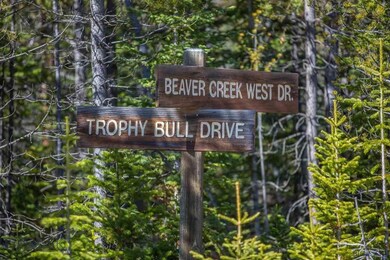 13 Trophy Bull Road Rd, Big Sky, MT 59716 - photo 5