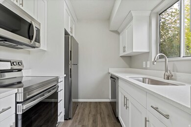 Kitchen with appliances with stainless steel finishes, white cabinets, dark wood-style flooring, and light stone counters