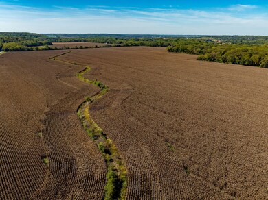 1151 E 1135 Rd, Lawrence, KS 66047 - photo 5