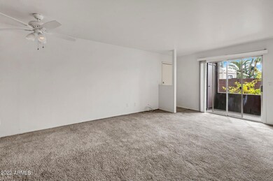 15-web-or-mls-_DSC8533