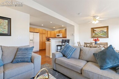 5511 Sunshade Point, Colorado Springs, CO 80923 - photo 6