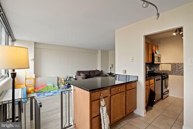 Mica Condominiums unit 1010, Silver Spring, MD 20910 - photo 5