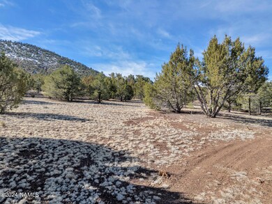 TimberCreekImagery-15 2