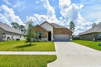 14155 Lake Lodge Dr, Conroe, TX 77384 - photo 2