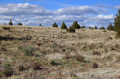 0 Tl 3200 Thomas Rd unit 24807815, Prineville, OR 97754 - photo 5