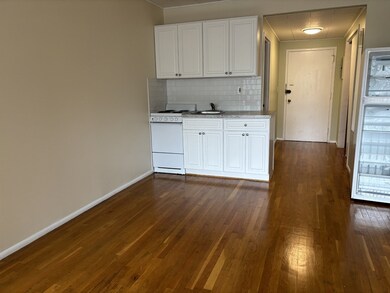 Sargent Estates unit M4, Brookline, MA 02445 - photo 3
