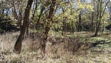 34355 Iatan Rd, Weston, MO 64098 - photo 5