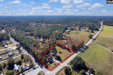 4303 Fish Hatchery Rd, Gaston, SC 29053 - photo 2