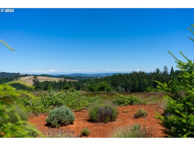 18940 SW Canyon Rd, Sheridan, OR 97378 - photo 4