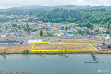 0 E Robert Bush Dr unit NWM2276944, South Bend, WA 98577 - photo 6