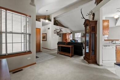 4513 Skylark Ln, Plainfield, IL 60586 - photo 4