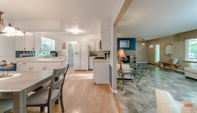 10208Elm LoRes