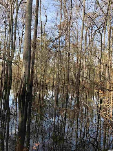 10A Bear Bluff Dr, Conway, SC 29526 - photo 4