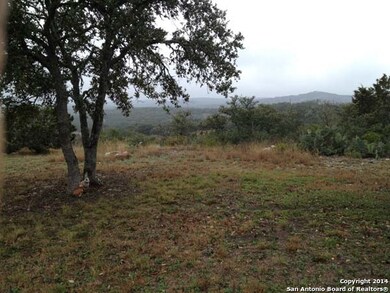 3590 County Road 241, Hondo, TX 78861 - photo 4