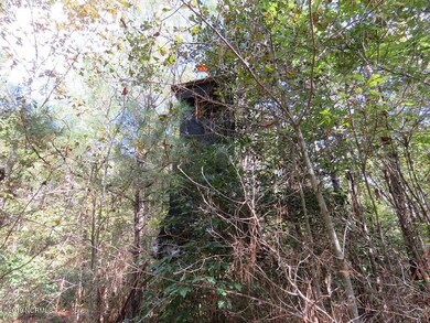 Applewhite Tract2 4