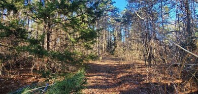 TBD Farm To Market Road 850, Arp, TX 75750 - photo 3