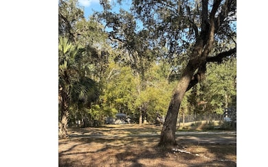 8694 93rd Rd, Live Oak, FL 32060 - photo 4